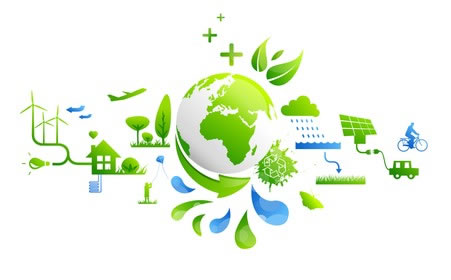 eco_02